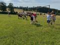 Gruppe-2-Wiese