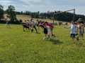 Gruppe-6-Wiese