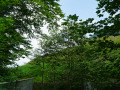 DSC03081