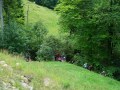 DSC03083