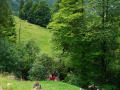DSC03084