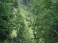 DSC03160