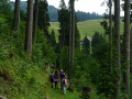 DSC03164