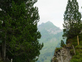 DSC03198