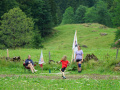 DSC03390