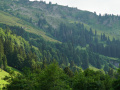 DSC03451
