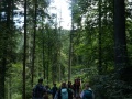 DSC07007