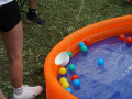 DSC03890
