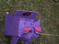 DSC04610