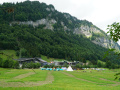 DSC05134