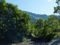 DSC05266