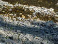 DSC05292