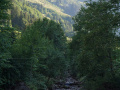 DSC05372