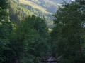 DSC05373