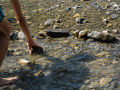 DSC05608