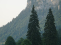 DSC05627