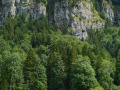 DSC02683