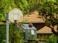 DSC06287