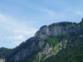 DSC02315