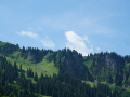 DSC02319