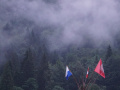 DSC02358