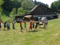 pfila_08_12_20080518_1310477682