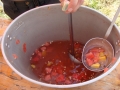 pfila_08_26_20080518_1630907026