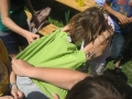 pfila_09_112_20090708_2061883387