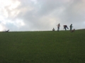 pfila_09_39_20090708_1490138634