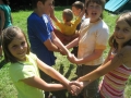 pfila_09_96_20090708_1867902160