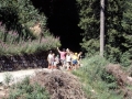 Segnas 1990 - (285)