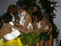Elm 1994 - (175)