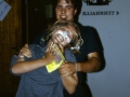 Elm 1994 - (178)
