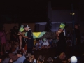 Elm 1994 - (189)