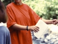 Elm 1994 - (194)