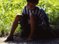 Elm 1994 - (199)