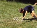 Elm 1994 - (208)