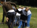 MÃ¼nster 2000 - (186)