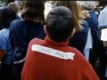 MÃ¼nster 2000 - (240)