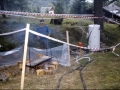 MÃ¼nster 2000 - (303)