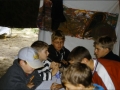 MÃ¼nster 2000 - (334)