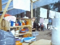 MÃ¼nster 2000 - (67)