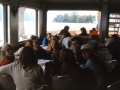 MÃ¼nster 2000 - (99)