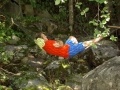 Bilder Gerra Verzasca, Teil 4 073_1