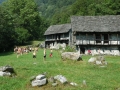 Bilder Gerra Verzasca, Teil 5 048_1