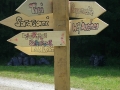 DSCN0532