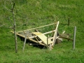 DSCN0534