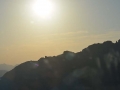 sola_1331
