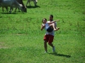 sola_1490