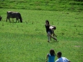 sola_1496